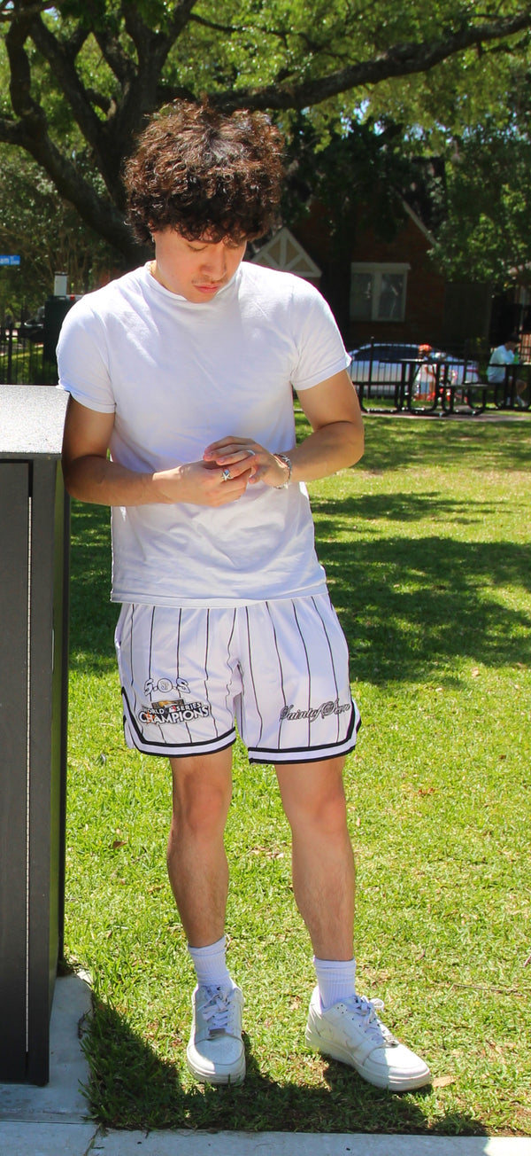 Welcome to Saint of Seven