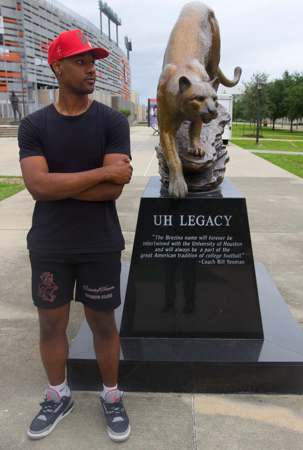 Welcome to Saint of Seven