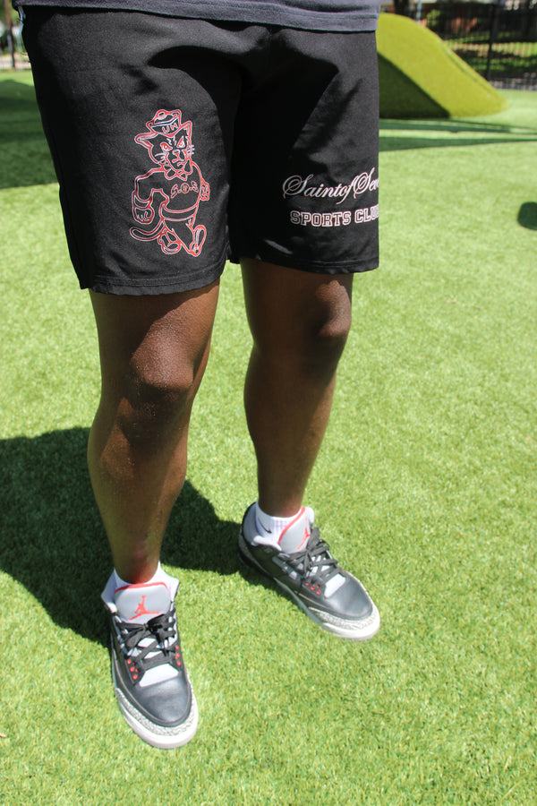 Welcome to Saint of Seven